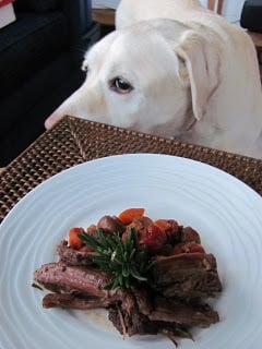 Pot Roast with Mushrooms, Tomatoes & Red Wine - This is one unforgettable pot roast with an amazing depth of flavor! Yellow lab eyeing this Pot Roast with Mushrooms, Tomatoes & Red Wine on a white plate