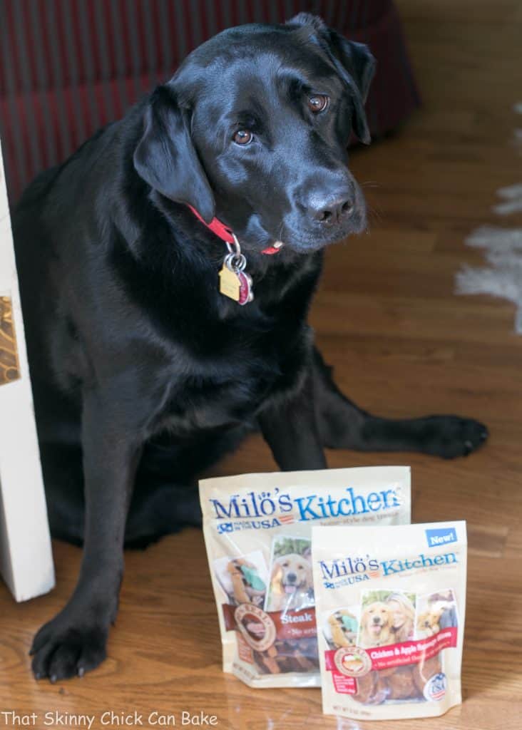 Peanut Butter Dog Bone Treats | Homemade dog snacks your pet will adore!