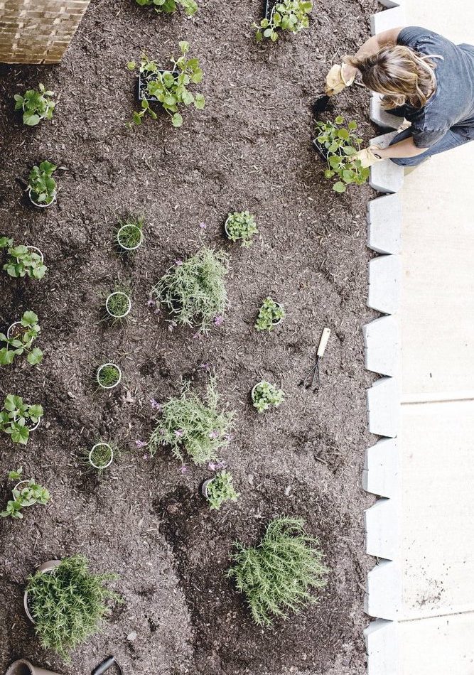 Garden Essentials