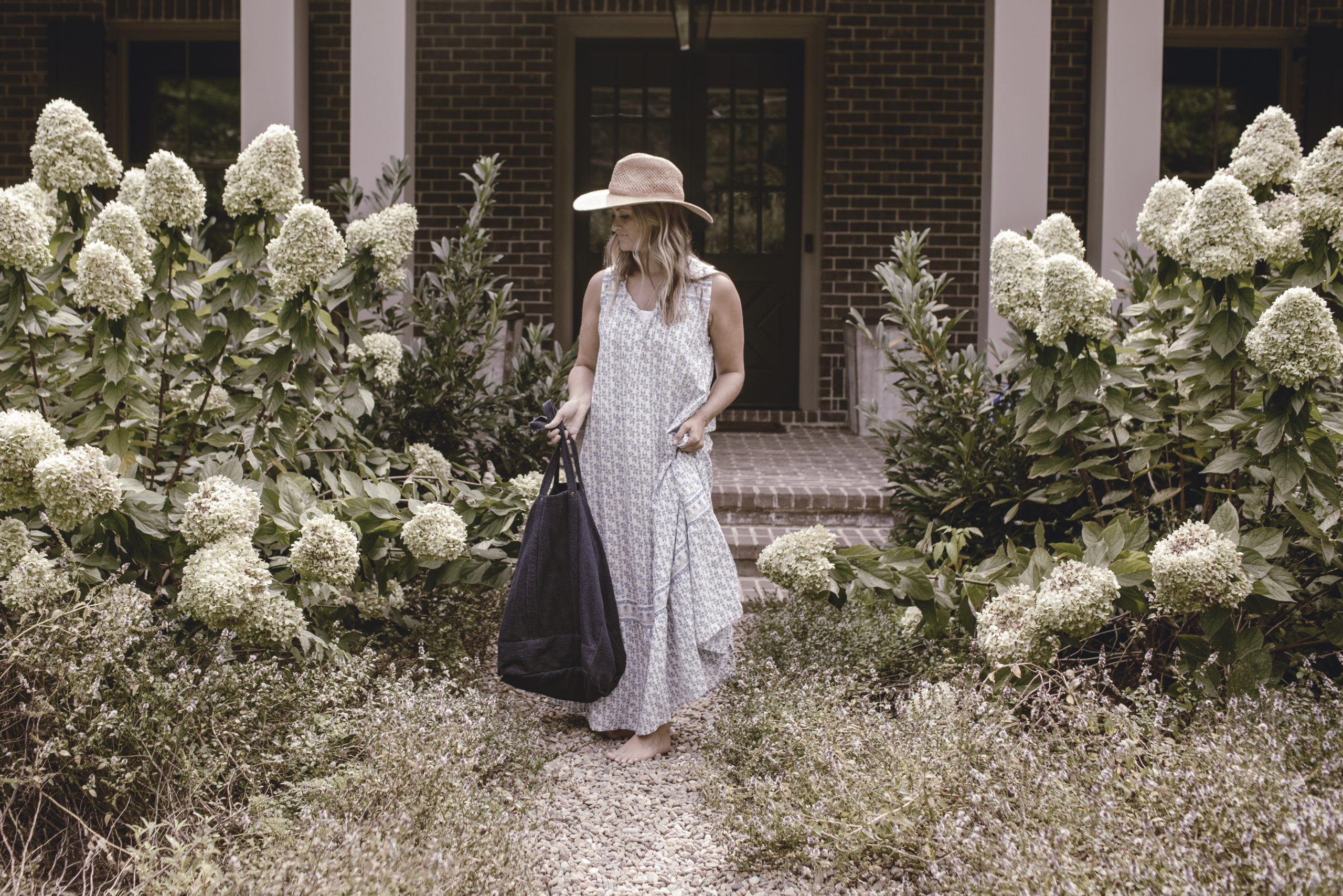 Southern Summer Garden with Limelight Hydrangeas