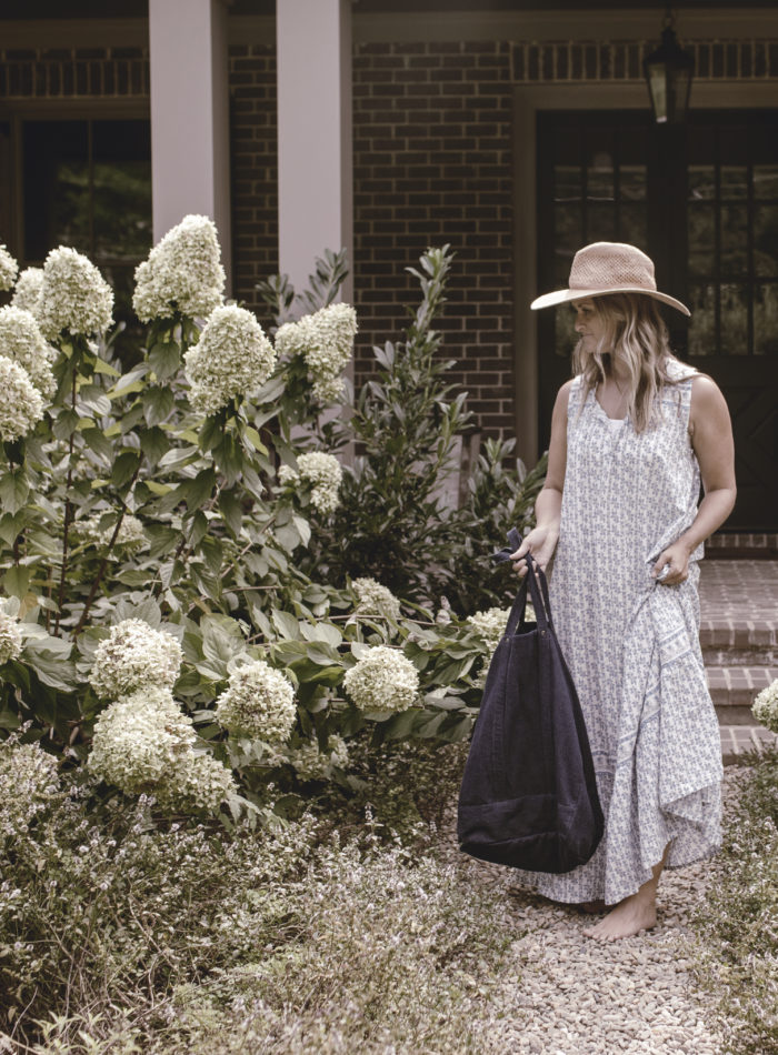 Southern Summer Garden with Limelight Hydrangeas