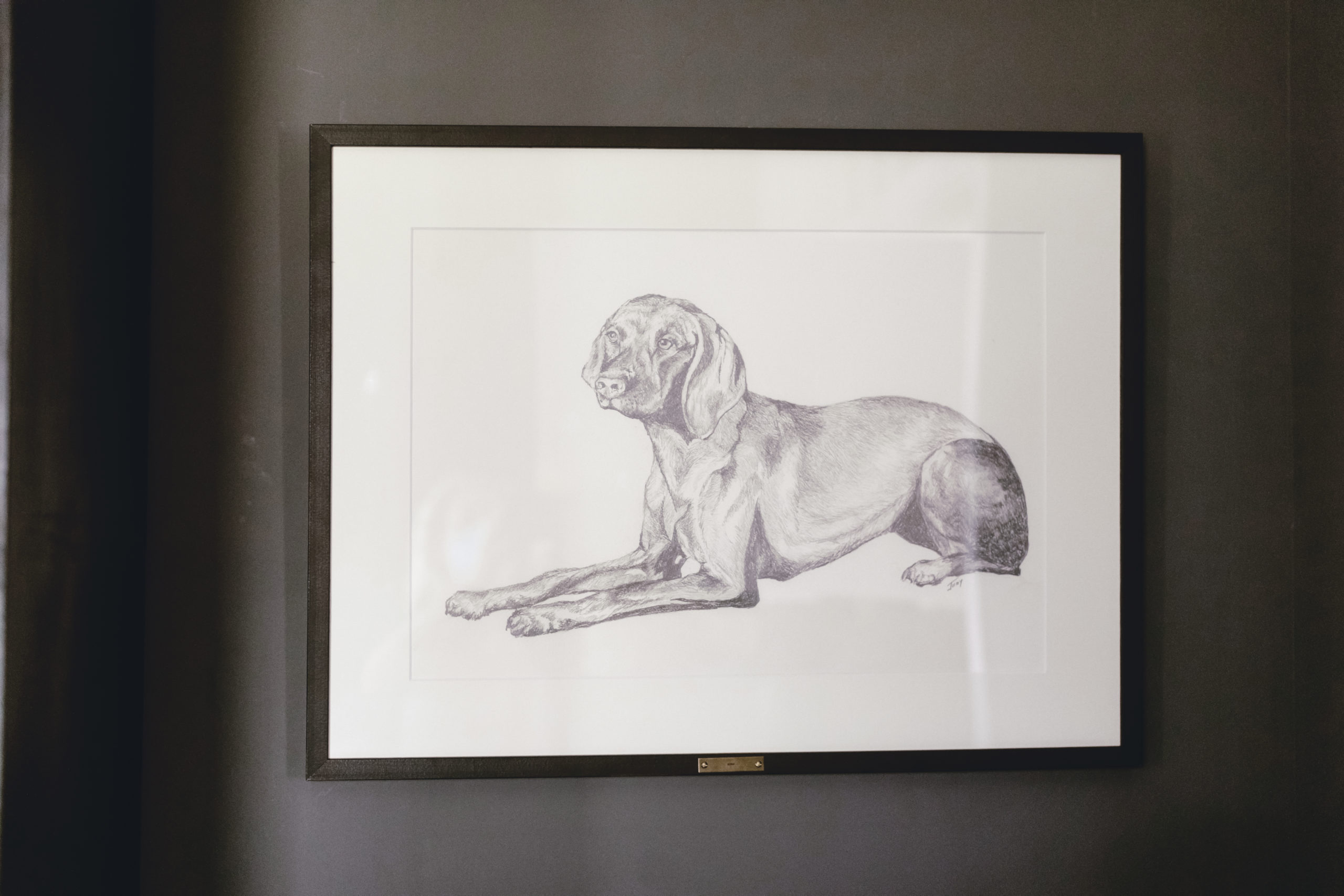 framed drawing of vizsla