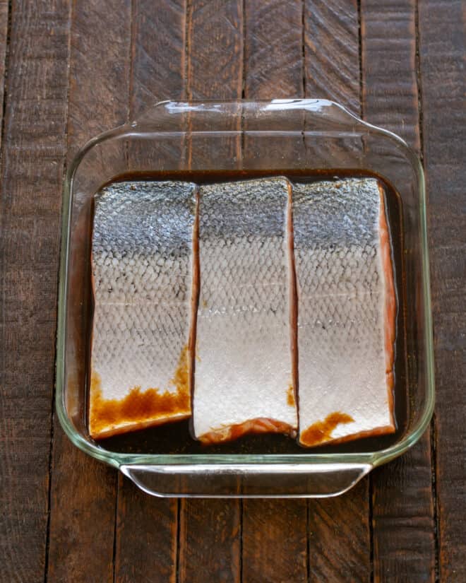Salmon in the marinade.