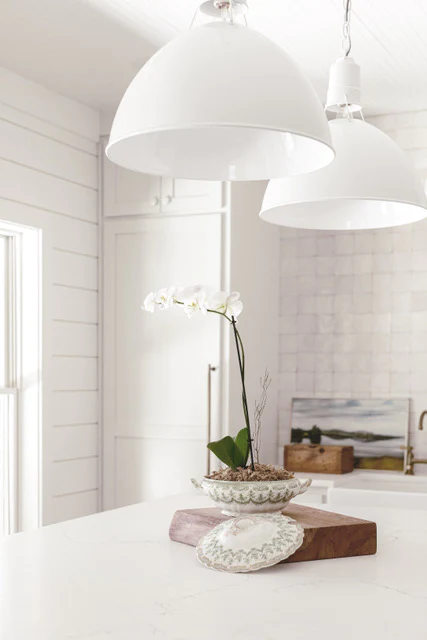 A Simple Guide : How to Care for Orchids